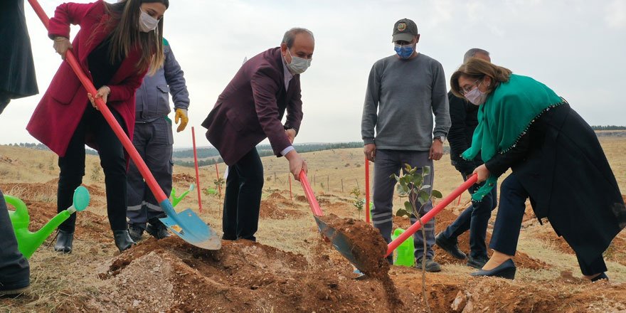 Başkan Fatma Şahin'den çiftçinin yüzünü güldürecek çalışma!