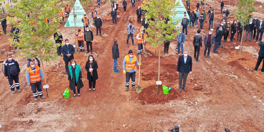 Büyükşehir Belediyesi geleceğe yeşil bir Gaziantep bırakmak için çalışıyor!