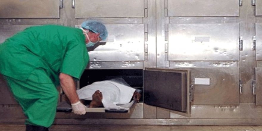 Korkutan haber! 13 kadın katledildi!