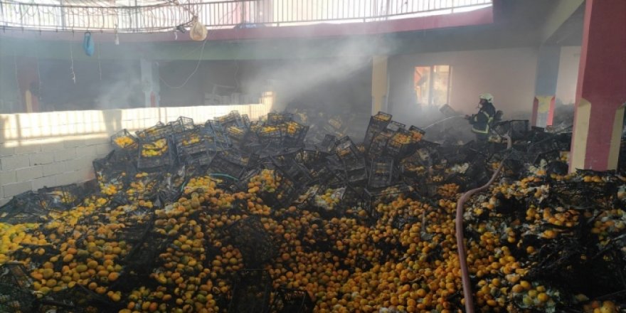 Hatay'da meyve deposunda yangın: 10 ton mandalina zarar gördü