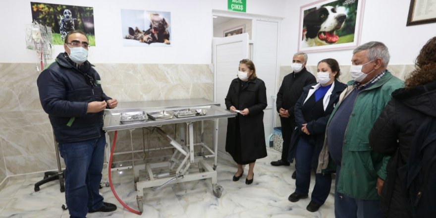 Gaziantep Büyükşehir Belediyesi sokak hayvanları için çalışma başlattı!