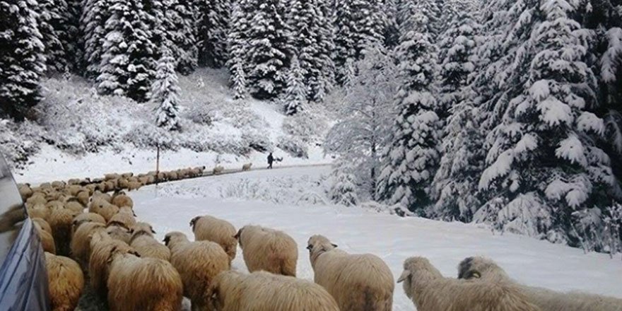 Meteoroloji uyardı! İki ilde kar bekleniyor