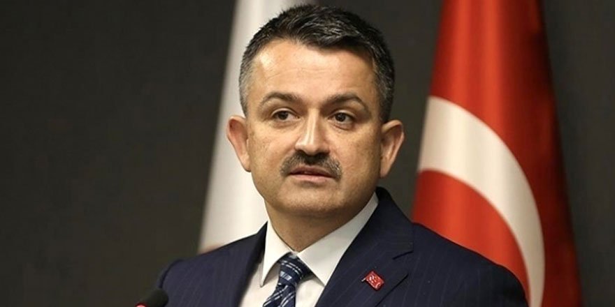 Bakan Pakdemirli: Balon balığı avcılığını destekleme kapsamına aldık