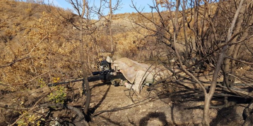 Yıldırım-16 Sehi Ormanları operasyonu başlatıldı