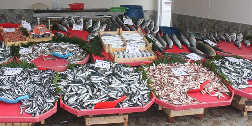 10 bin lira değerindeki çinekopu çalındı, hırsız komşu balıkçı çıktı