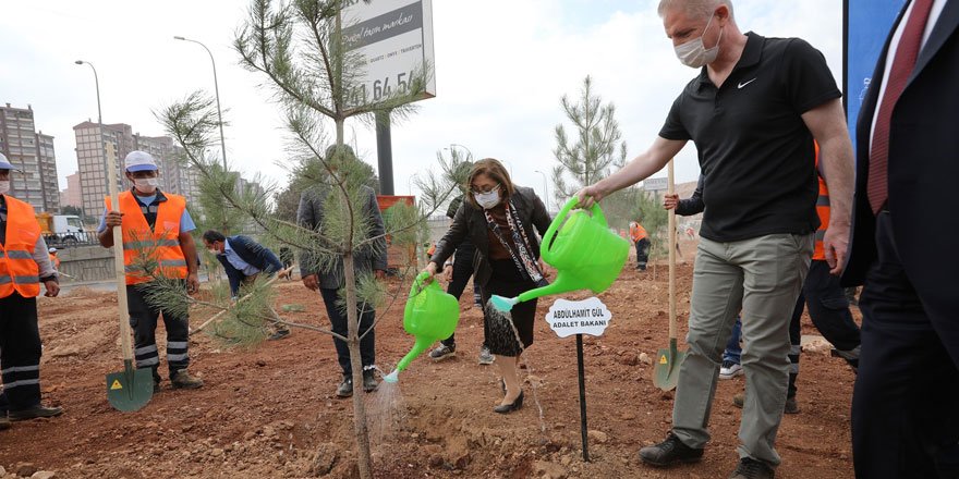 Büyükşehir, kent merkezini ağaçlarla donatıyor!