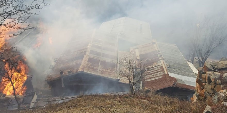 Rize Gölyayla köyünde çıkan yangında evler cayır cayır yandı!