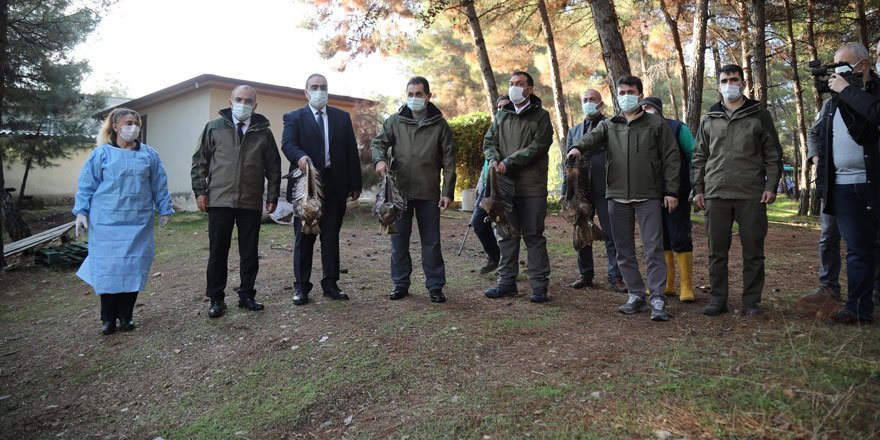 Gaziantep Hayvanat Bahçesi'nde tedavisi tamamlanan kuşlar doğaya bırakıldı!