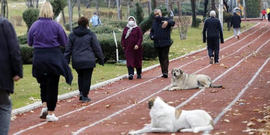 Son 24 saatte 20 bin 316 yeni vaka