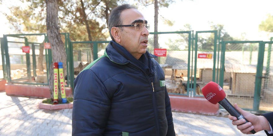 Büyükşehir, yılbaşı kısıtlamalarında sokak hayvanlarını aç bırakmayacak!