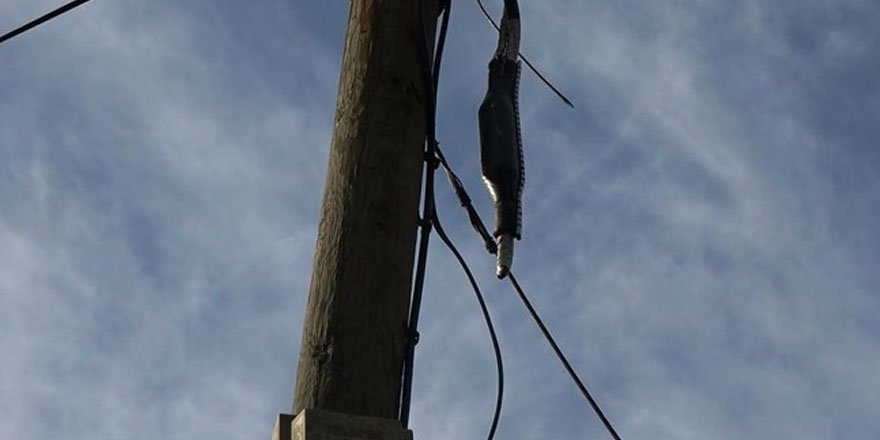 Uzaktan eğitime hırsız engeli