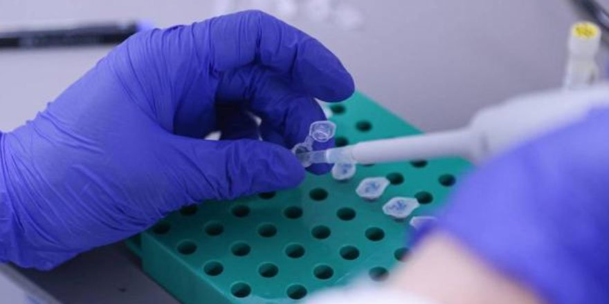 Bakan Varank: VLP aşı çalışmamızda önemli bir aşamaya geldik