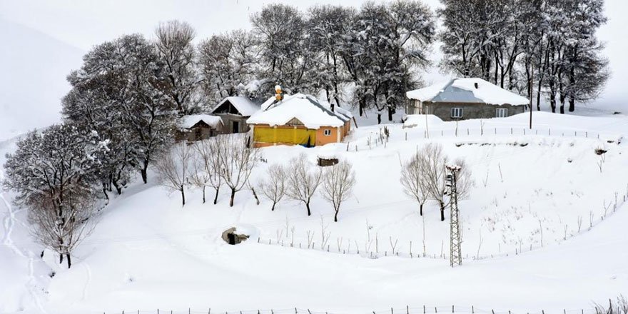 Muş'un yüksek kesimlerindeki tek katlı evler kara gömüldü