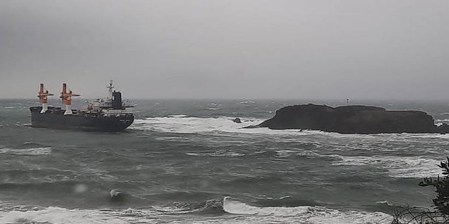 İstanbul'da yük gemisi karaya sürüklendi