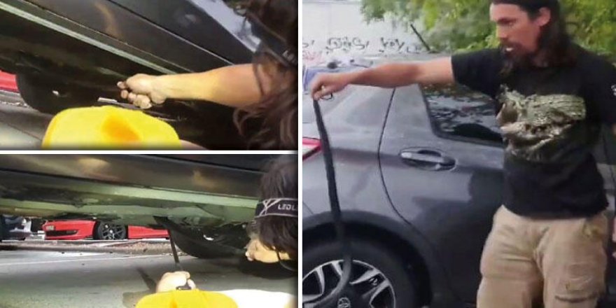 Yakıt deposunda yılan paniği!