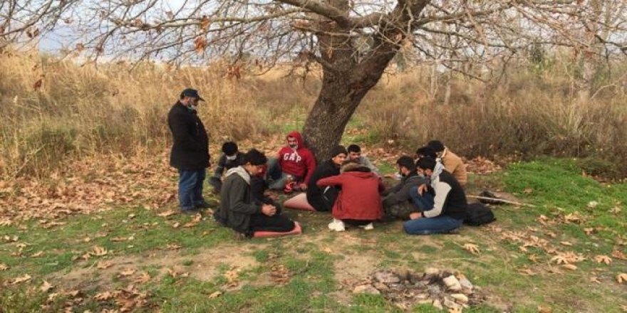 23 düzensiz göçmen yakalandı