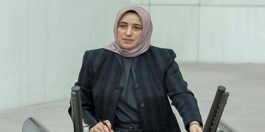 Özlem Zengin: HDP'nin kapatılmasına siyaset karar vermeyecek