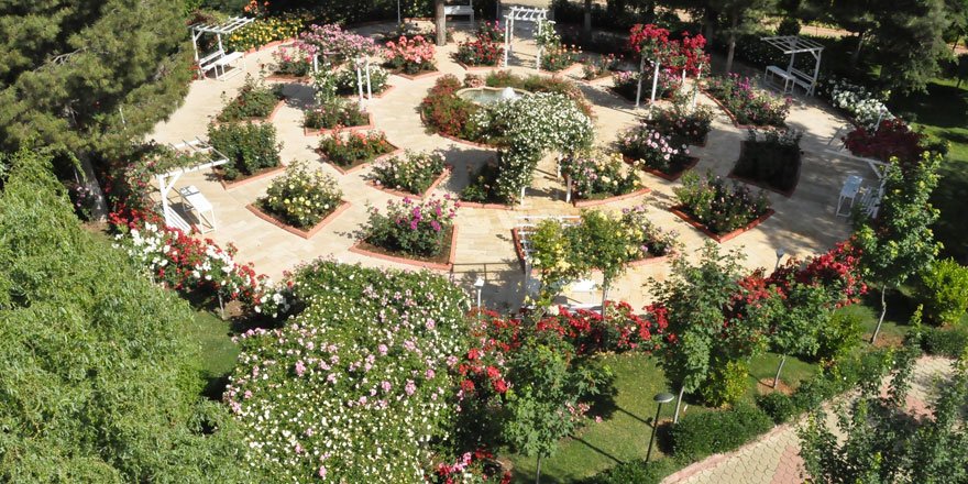 Botanik Çalıştayı için başvurular 5 Mart'ta kadar devam edecek!