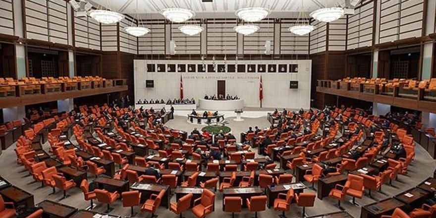 TBMM'nin bu haftaki gündemi nadir görülen hastalıklar