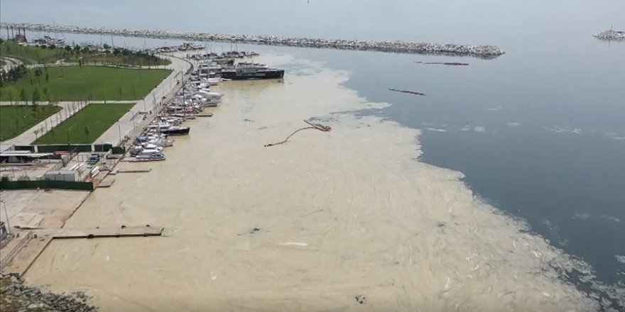 Anadolu Yakası'nda deniz yüzeyinde oluşan beyaz tabaka kıyıya da vurdu