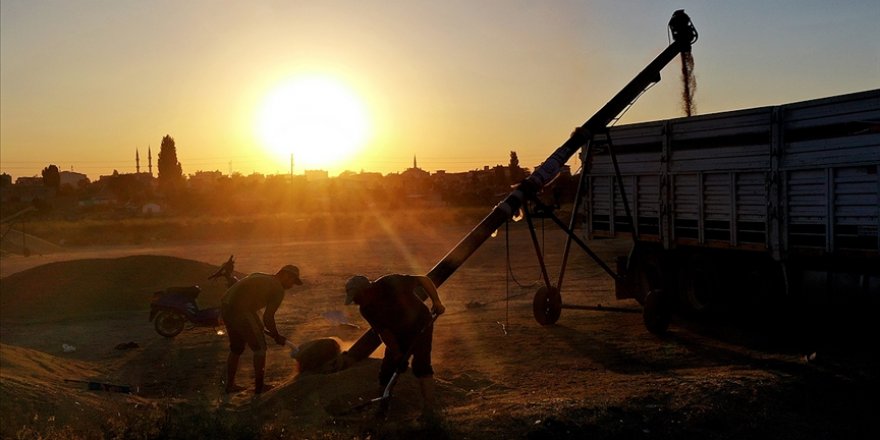 Üreticilere bayram öncesinde 1,5 milyar liradan fazla destek ödemesi yapılacak