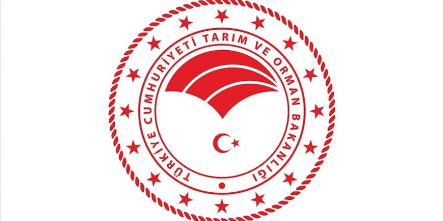 Gıda işletmelerine laktoz ve glüten içeren ürünler için talimat