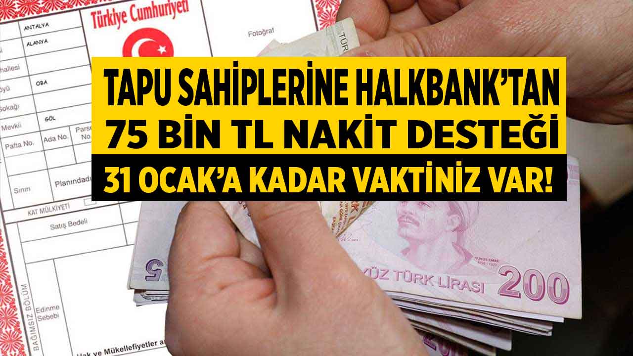 Tapusu olanlara 2023 desteği! Tapusuyla Halkbank'a giden şipşak 75.000 TL nakit parayı cebe koyacak