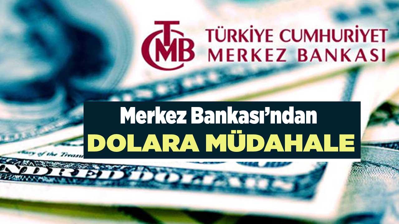19 TL'ye koşuyordu! Merkez Bankası dolara müdahale etti