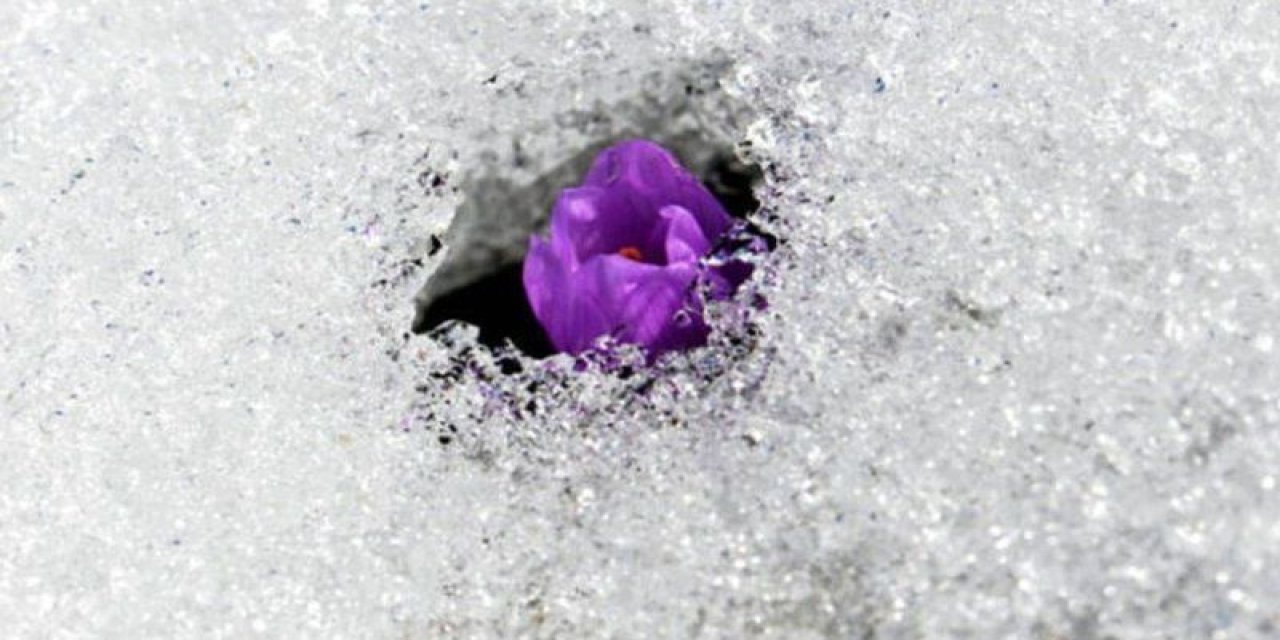 Havalar soğudu, herkesin derdi düşecek cemre oldu! İşte 2023 yılı cemre tarihleri