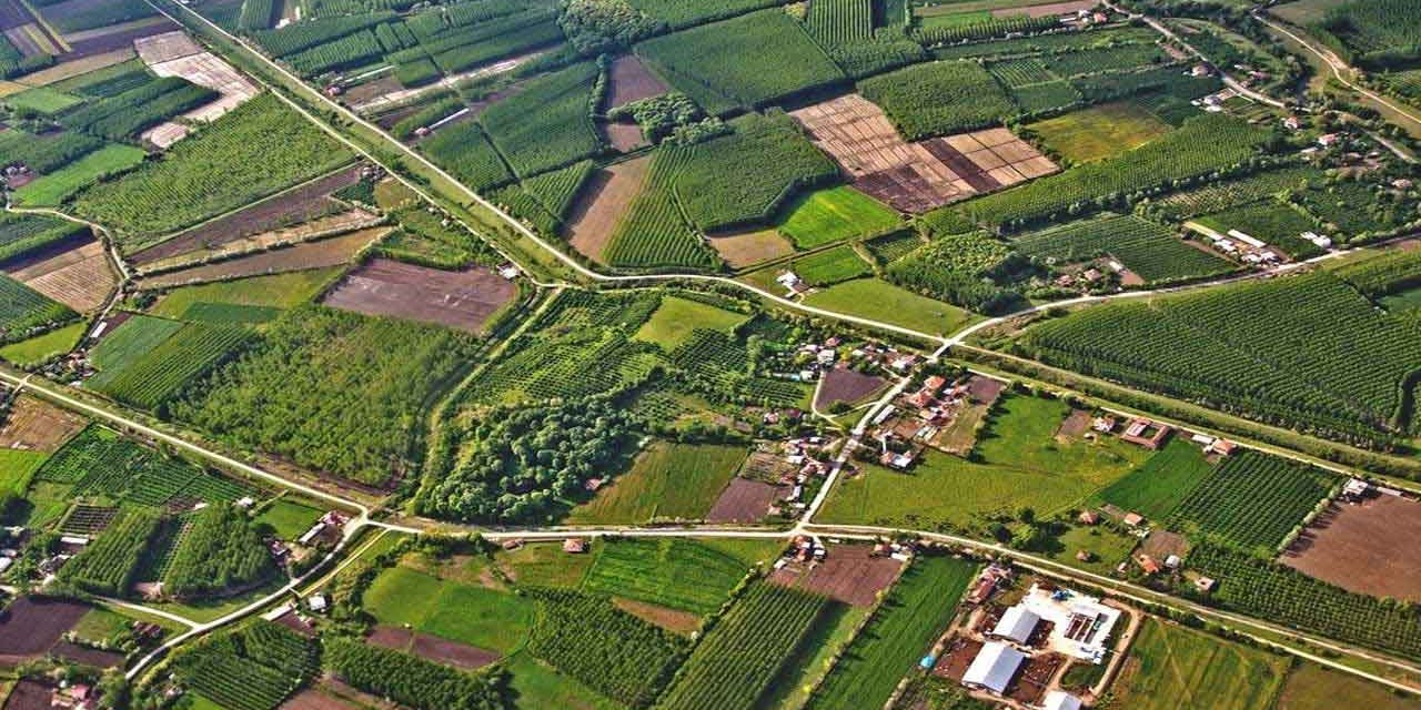 Atıl durumdaki Hazine arazileri ekonomiye kazandırılıyor
