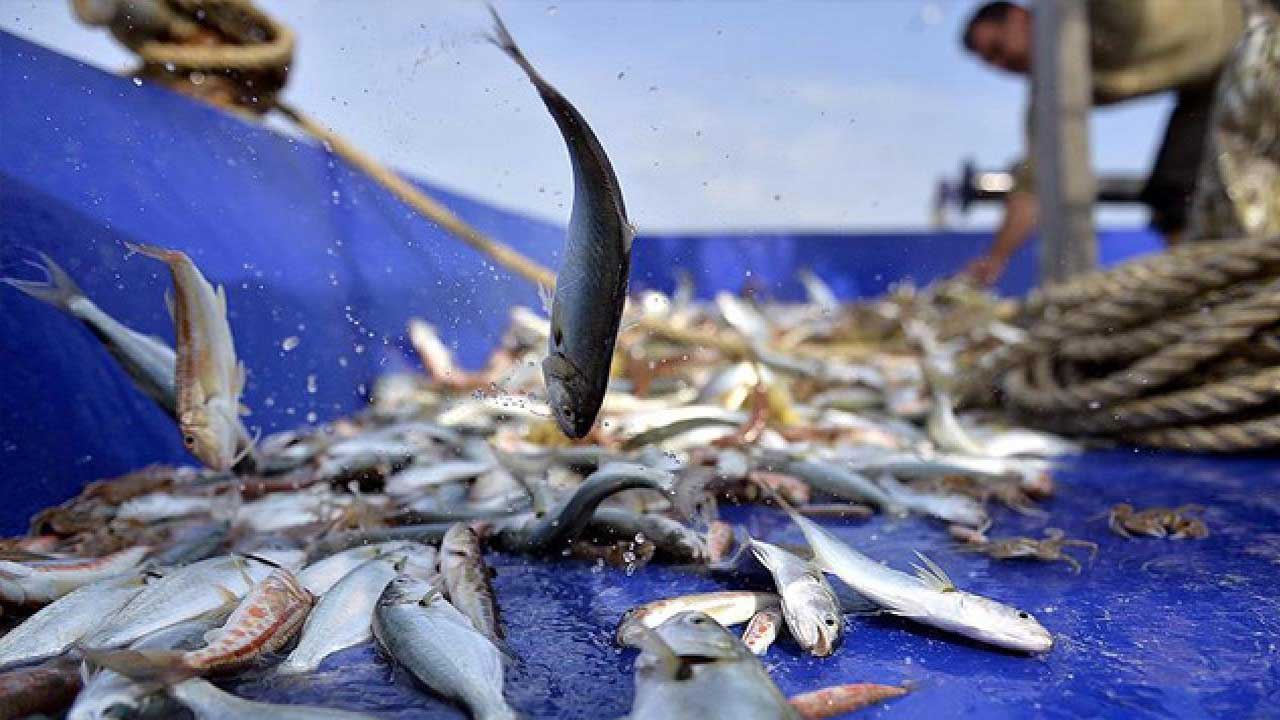 Küçük ölçekli balıkçılığın desteklenmesine ilişkin Cumhurbaşkanı kararı yayımlandı!