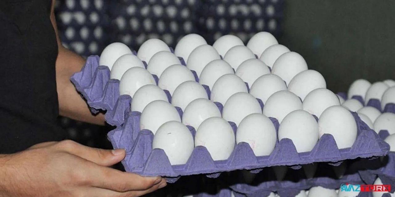 30'lu yumurta için dev zam açıklandı! Koli fiyatı 25 lira birden arttı artık o rakamdan satılacak