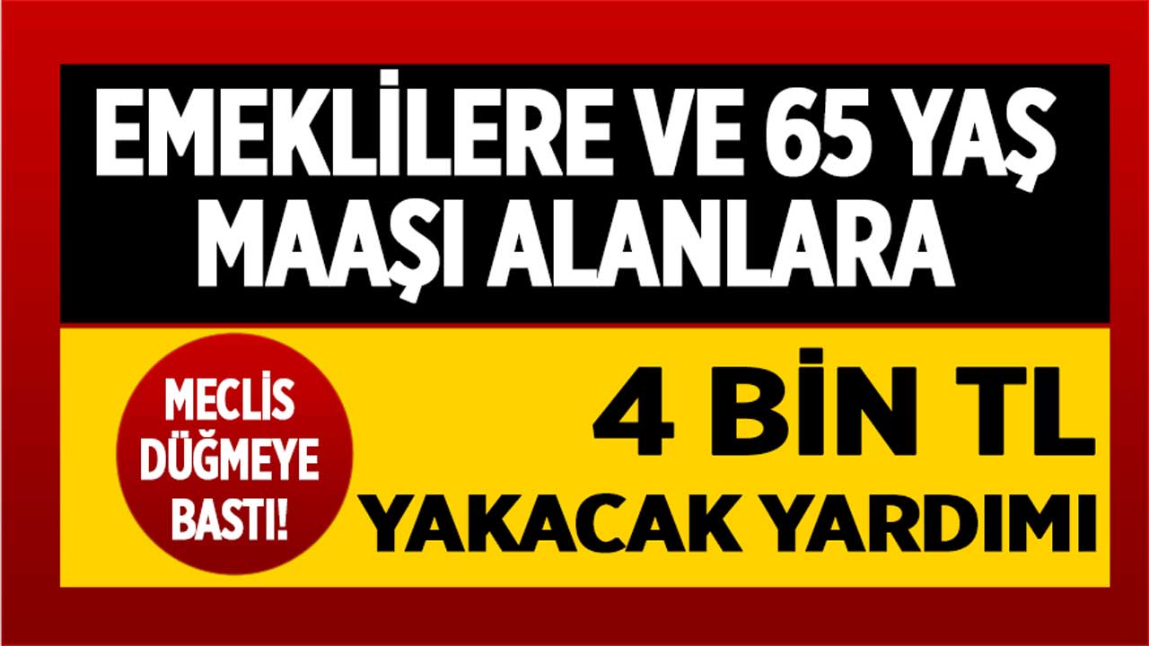 Meclis düğmeye bastı! Emeklilere ve 65 yaş aylığı alanlara 4 bin TL doğalgaz ve elektrik faturası yardımı