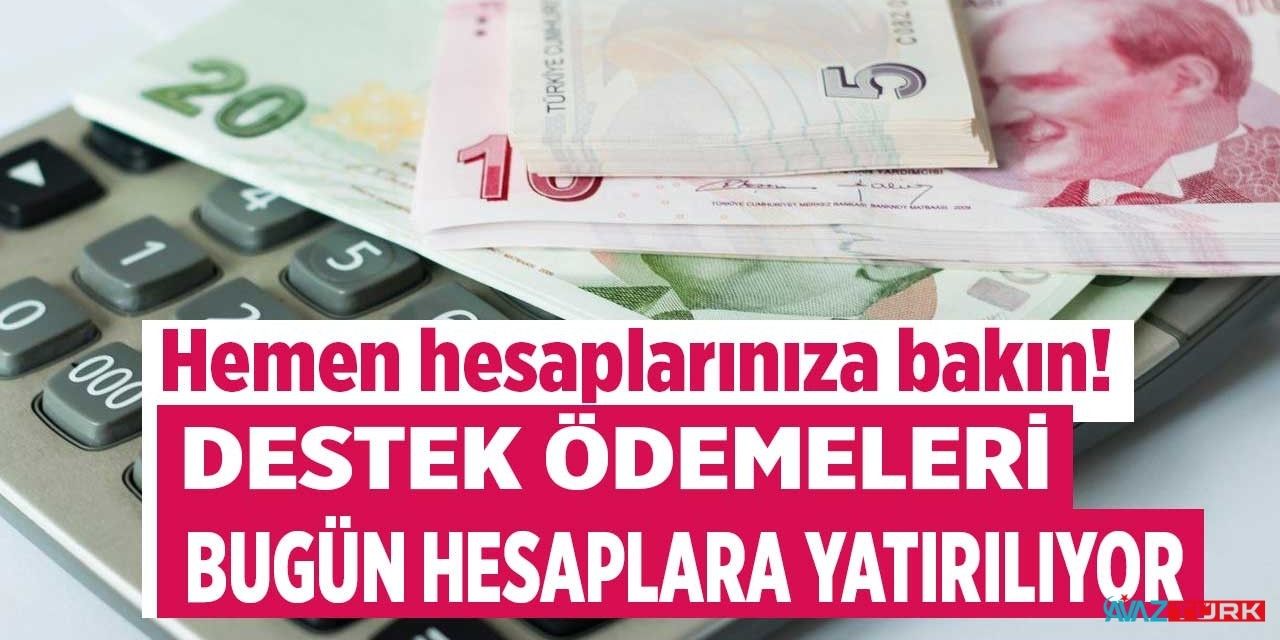 Bakan son dakika açıkladı! Cep telefonu olan hemen kontrol etsin 3 bin 336 lira hesaplara yatırıldı