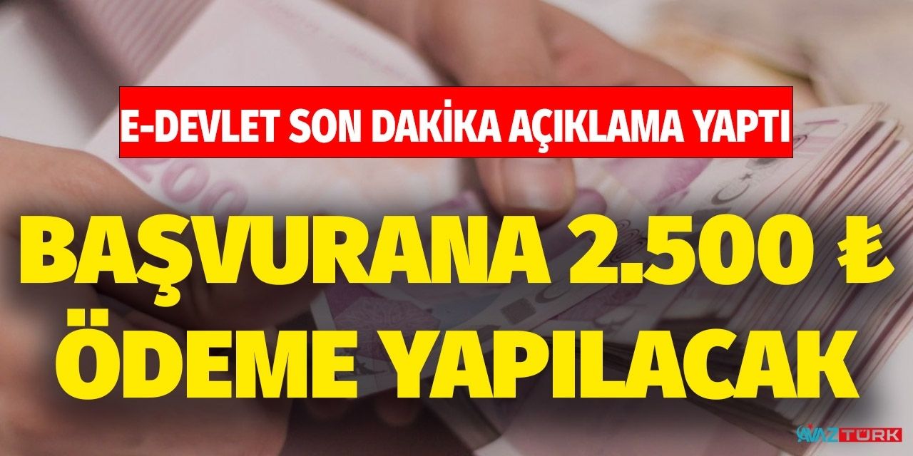 E-devlet üzerinden son dakika açıklandı! Başvurana 2 bin 500 lira yardım ödemesi yapılacak