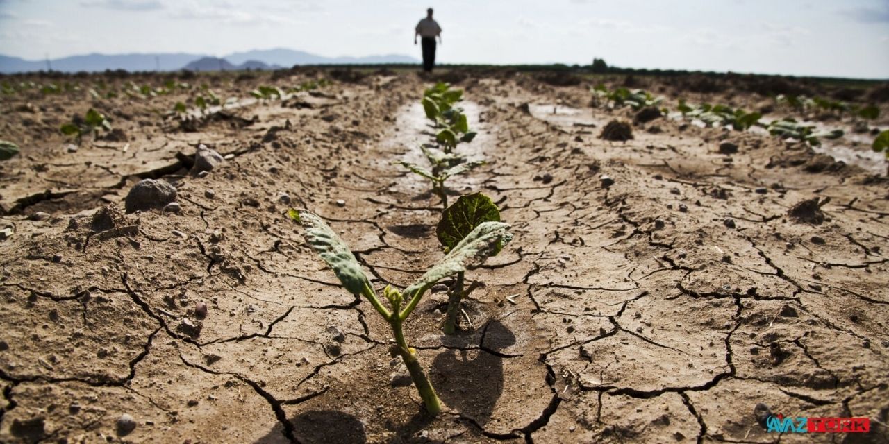 Kuraklık en çok tarımı vurdu! Ürünleri sulamak bile artık çok zor olabilir! Uzmanlar 3 aya dikkat çekti