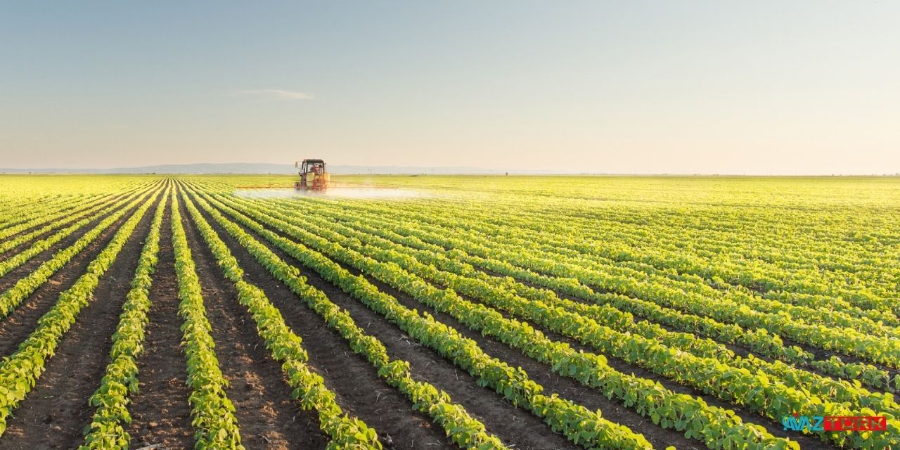 Milli Emlak o ilde 93 bin liraya tarla satacak!