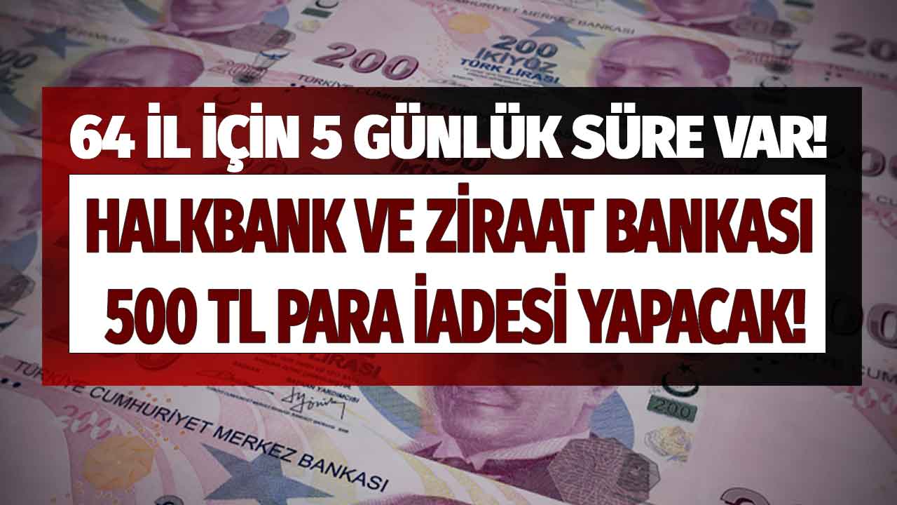 Bakan duyurdu! Ziraat Bankası ve Halkbank'tan 64 ilde 5 gün içinde başvuru yapana 500 TL para iadesi