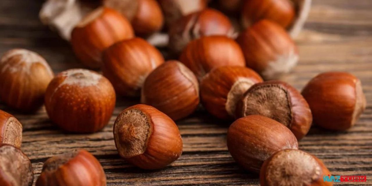 TMO'dan açıklama geldi! Kabuklu fındık satışı başladı!