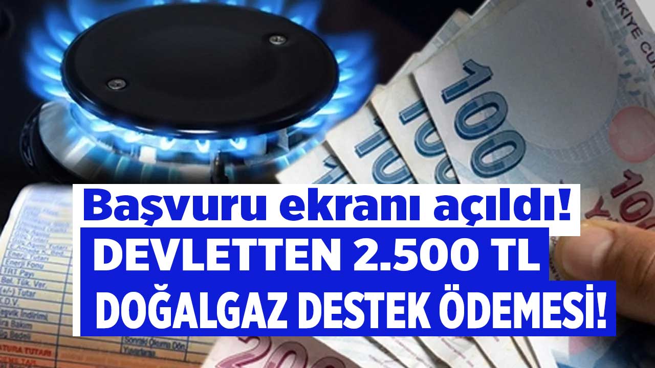 Aile Bakanlığı başvuru ekranını açtı! İhtiyaç sahibi vatandaşlara aylık 2.500 TL doğalgaz yardımı parası