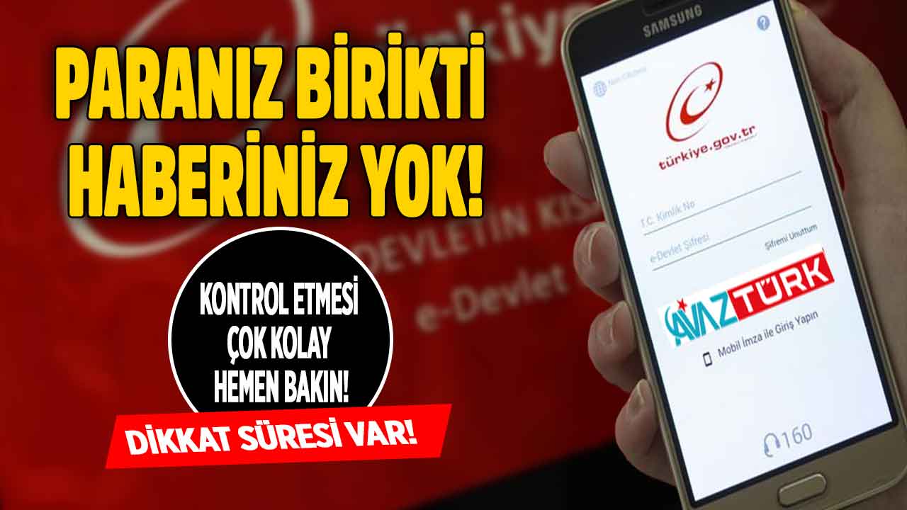 Birikmiş paranız olabilir haberiniz yok! Süresi dolmadan hemen e-Devletinize bakın paranız yanmasın