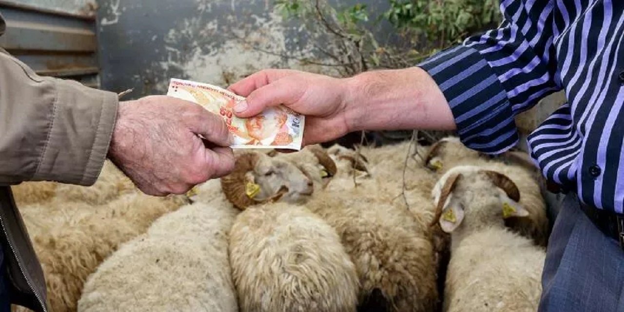 Diyanet merak edilen soruyu yanıtladı, Kurban Bayramı ne zaman?