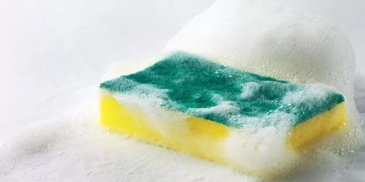 Hastalık ve bakteri ile karşı karşıyasınız! Mutfağınızda varsa çöpe atın!