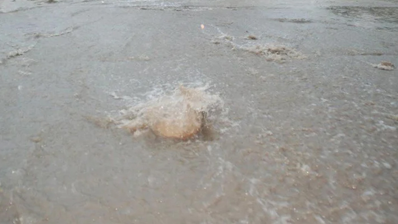 8 İle kodlu uyarı yapıldı: Yarın çok dikkat edin! Cumartesi gününe kadar bekleniyor,bu illerde yaşayanlar….