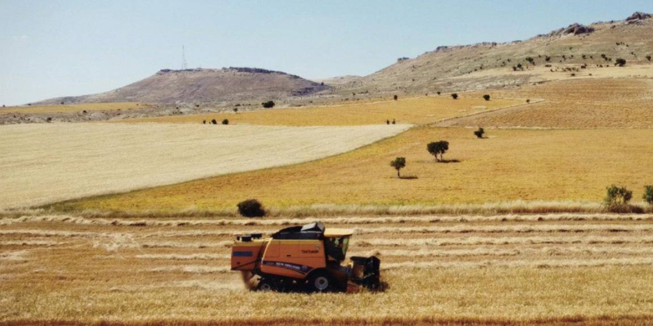 Birleşmiş Milletler, ‘Maraş’ raporunu açıkladı: Ülkemizde tarımın 5’te 1’i yok oldu!