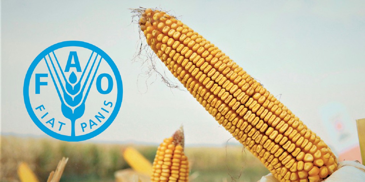 FAO, dünya gıda fiyatlarının art arda 12 aydır düştüğünü açıkladı!