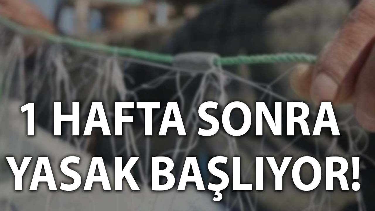 1 Hafta sonra yasak başlıyor: Eylül ayına kadar sürmesi bekleniyor!
