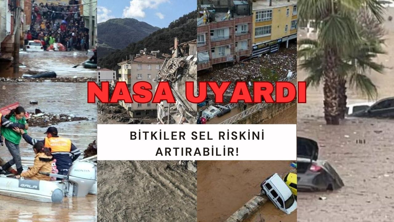 NASA’dan Flaş Rapor: Bitkiler sel riskini artırabilir!