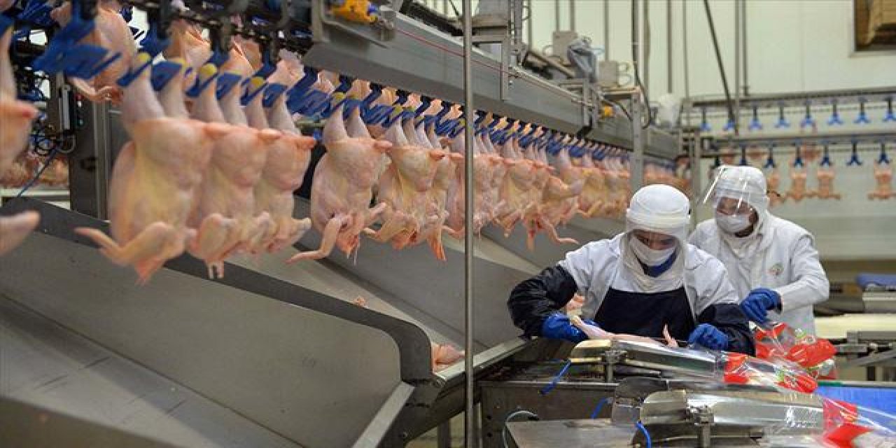 TÜİK'ten 'tavuk eti' açıklaması! Yüzde 8,1 gerileme var: Yakında onu da bulamayabiliriz