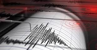 Bir ilimizde 4,6 büyüklüğündeki deprem! Vali açıklama yaptı!